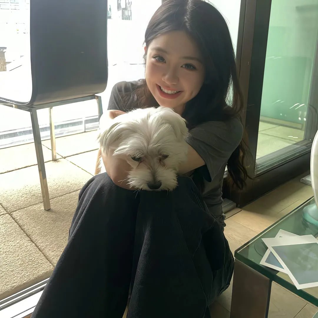 绑架猫王